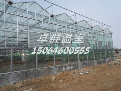 內(nèi)蒙古包頭市紋絡(luò)玻璃溫室。